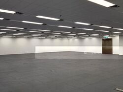 Robinson 77 (D1), Office #576577051